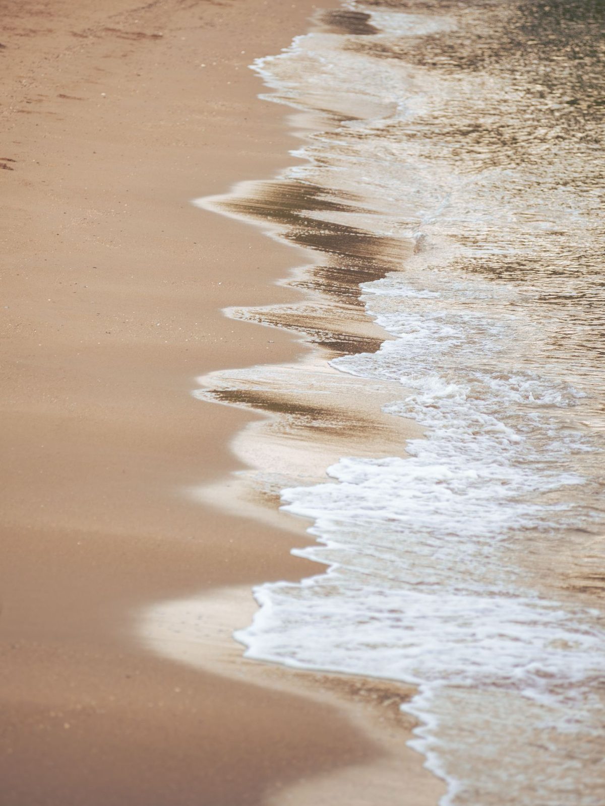 Bord de mer